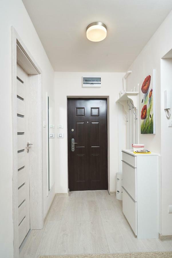 Exotic Rami'S Apartments تيميشورا المظهر الخارجي الصورة